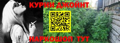 прущие грибы Новозыбков