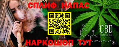 прущие грибы Новозыбков