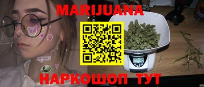 прущие грибы Новозыбков