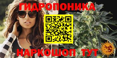 прущие грибы Новозыбков
