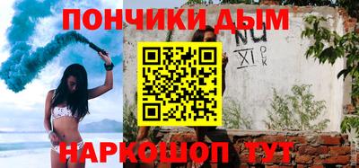 прущие грибы Новозыбков