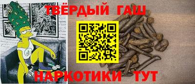 прущие грибы Новозыбков