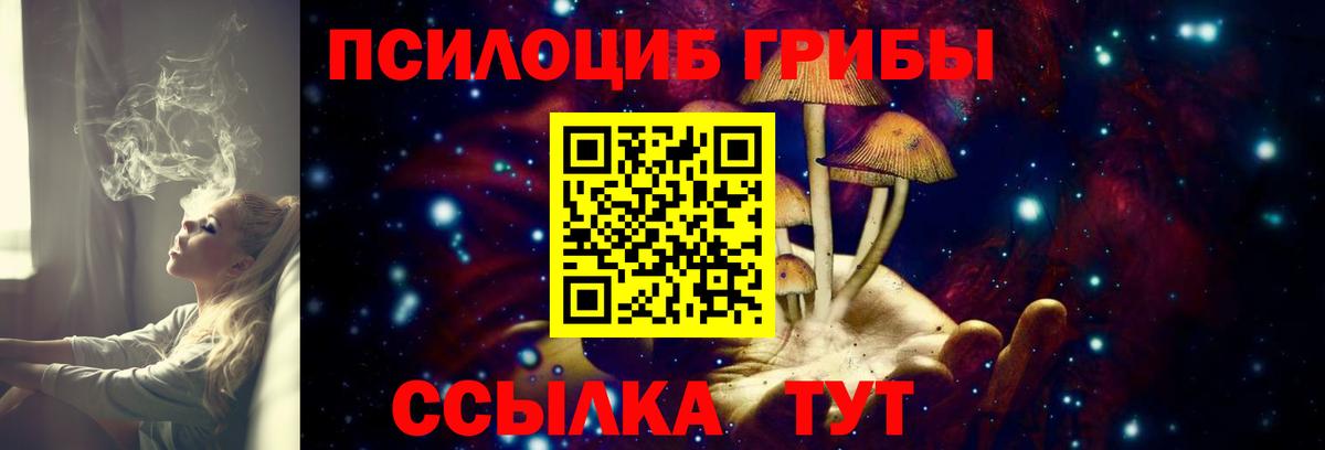 Галлюциногенные грибы прущие грибы Самара
